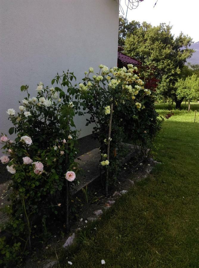 House Sara Apartment Korenica Exterior photo